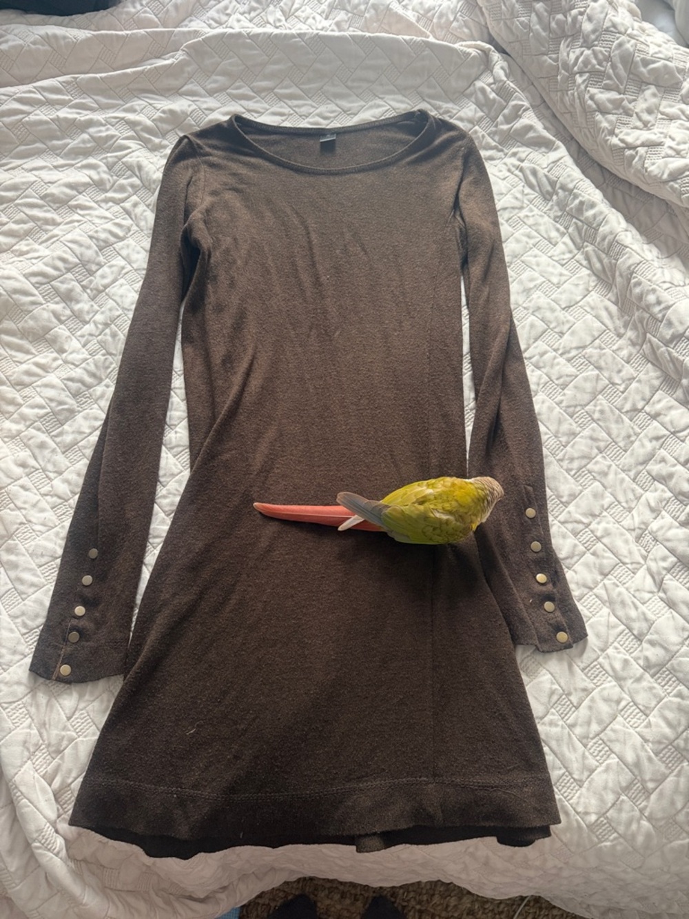Classic Long-Sleeve Brown Knit Dress with Button Cuffs
